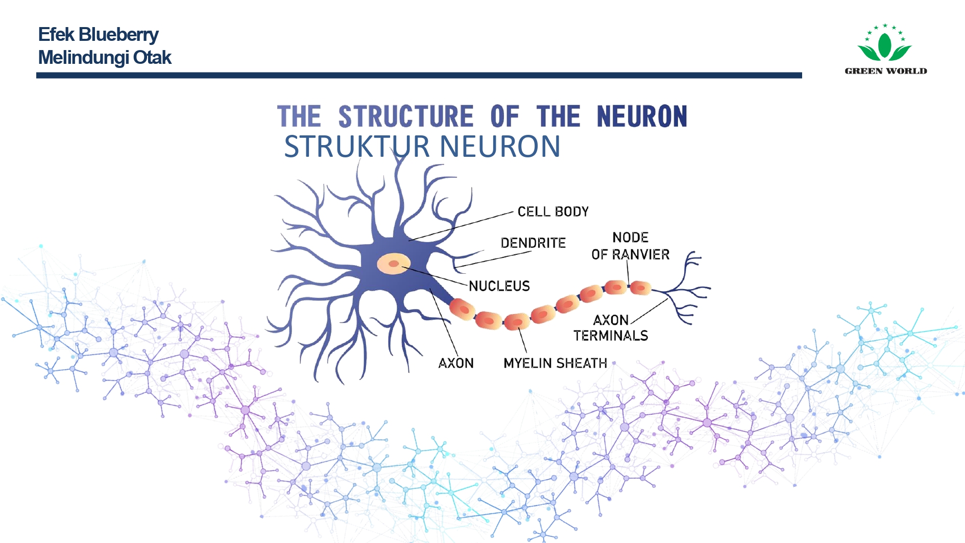 Education content image